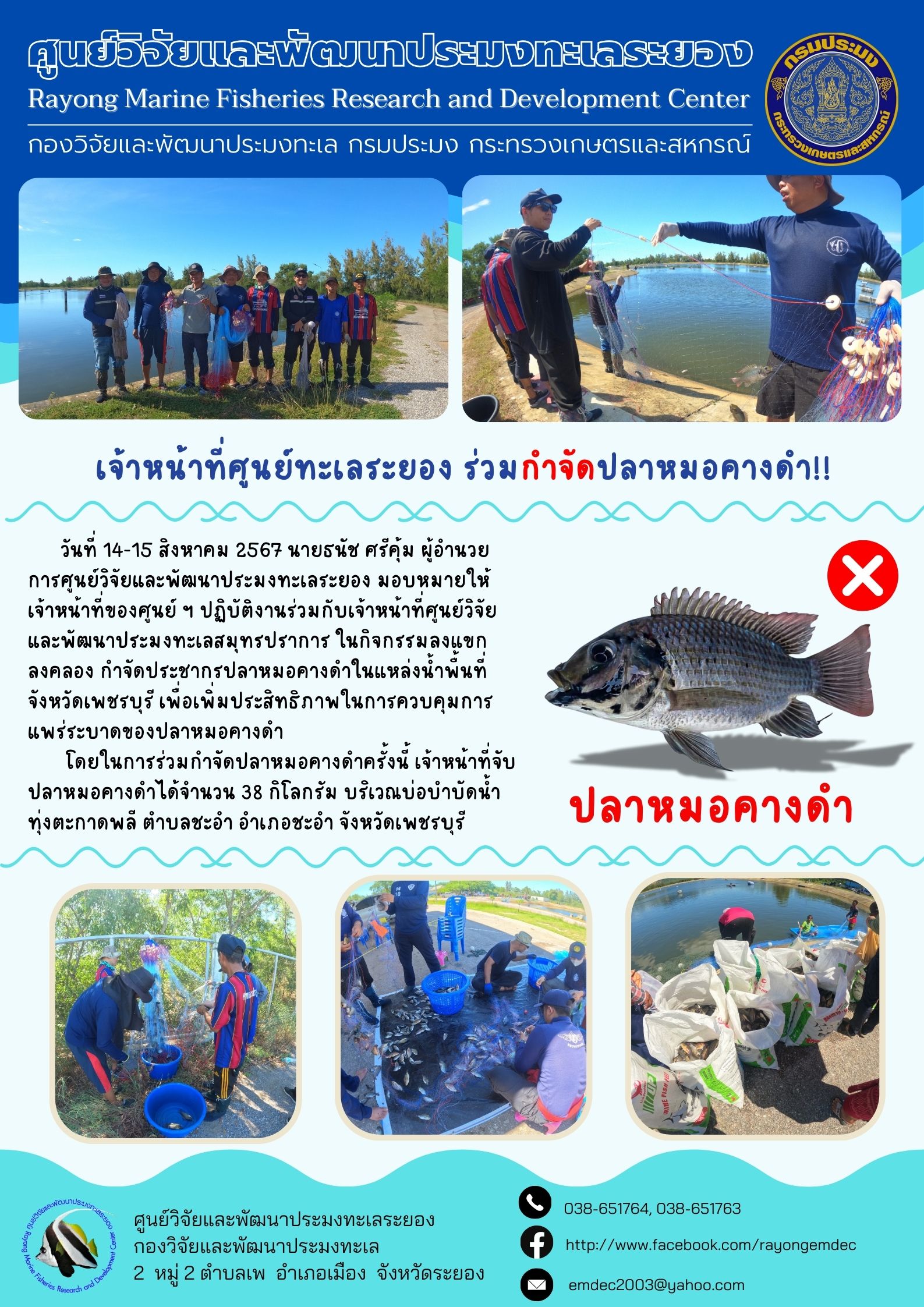 เจ้าหน้าที่ศูนย์ทะเลระยองร่วมกำจัดปลาหมอคางดำ จังหวัดเพชรบุรี