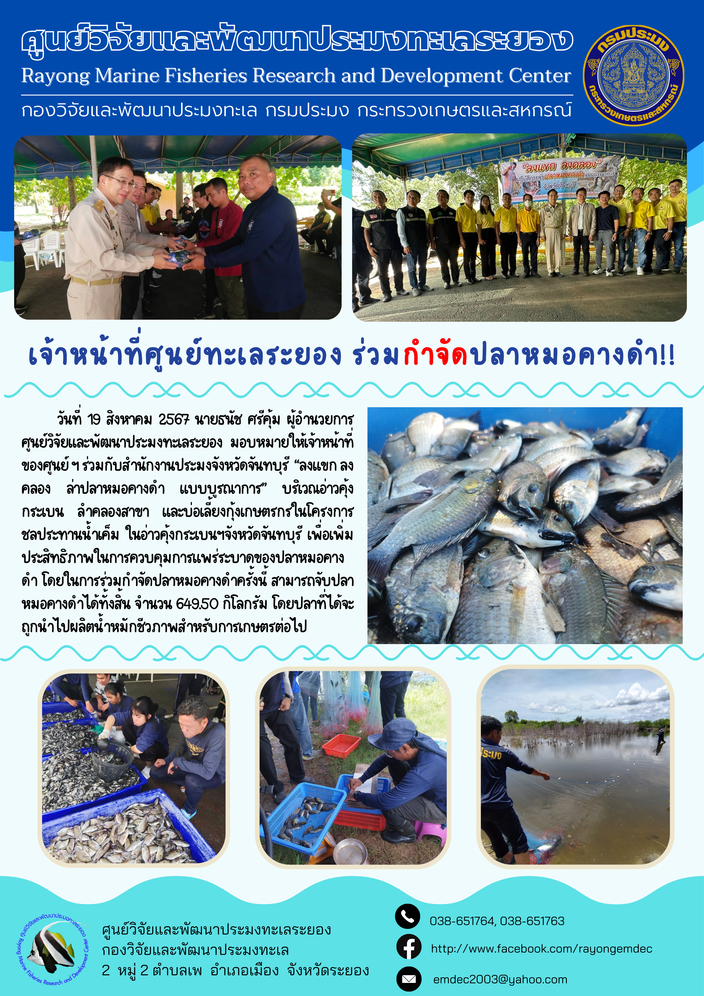 เจ้าหน้าที่ศูนย์ทะเลระยอง ร่วมกำจัดปลาหมอคางดำ จังหวัดจันทบุรี