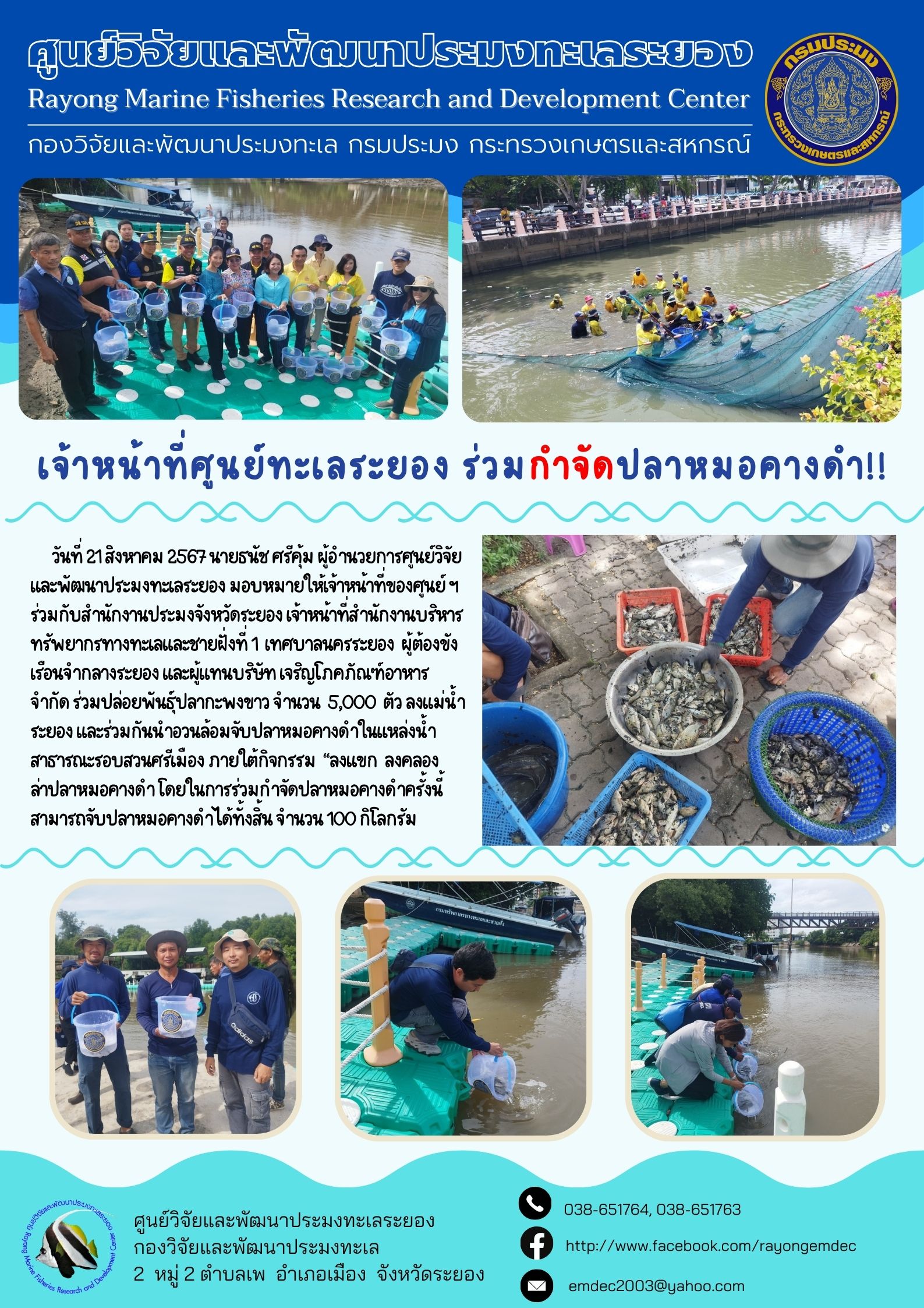 เจ้าหน้าที่ศูนย์ทะเลระยอง ร่วมกำจัดปลาหมอคางดำ จังหวัดระยอง