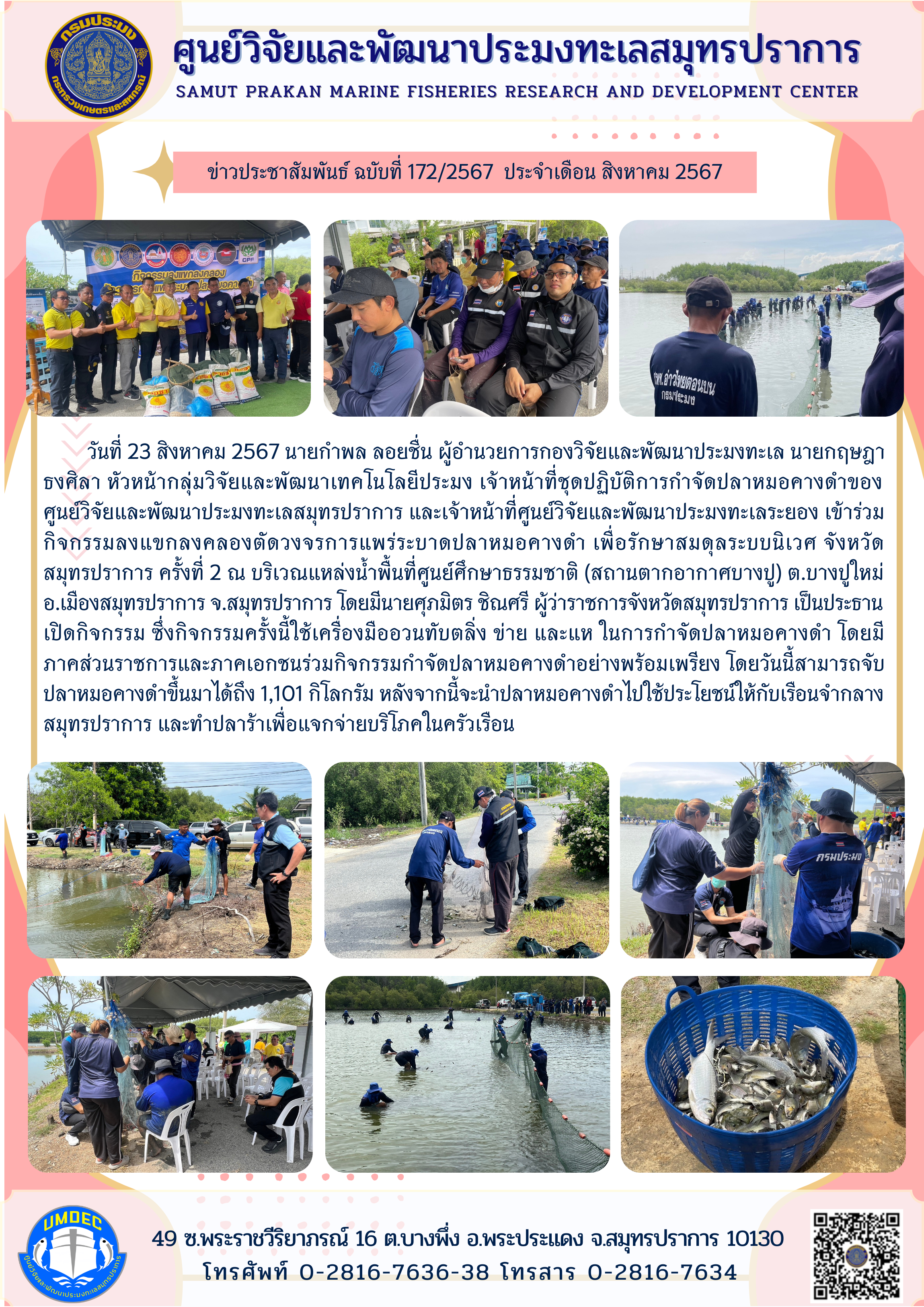 นายกำพล ลอยชื่น ผู้อำนวยการกองวิจัยและพัฒนาประมงทะเล พร้อมด้วยเจ้าหน้าที่กองวิจัยและพัฒนาประมงทะเล เข้าร่วมกิจกรรมลงแขกลงคลองตัดวงจรการแพร่ระบาดปลาหมอคางดำ ณ บริเวณแหล่งน้ำพื้นที่ศึกษาธรรมชาติ (สถานตากอากาศบางปู)..คลิก