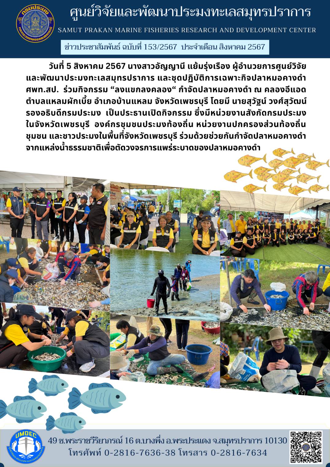 วันที่ 5 สิงหาคม 2567 นางสาวอัญญานี แย้มรุ่งเรือง ผู้อำนวยการศูนย์วิจัยและพัฒนาประมงทะเลสมุทรปราการ และชุดปฏิบัติการเฉพาะกิจปลาหมอคางดำศพท.สป. ร่วมกิจกรรม 