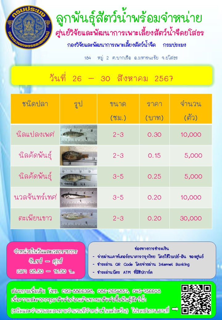 ลูกพันธุ์สัตว์น้ำพร้อมจำหน่าย 26 - 30 ส.ค. 2567..คลิก