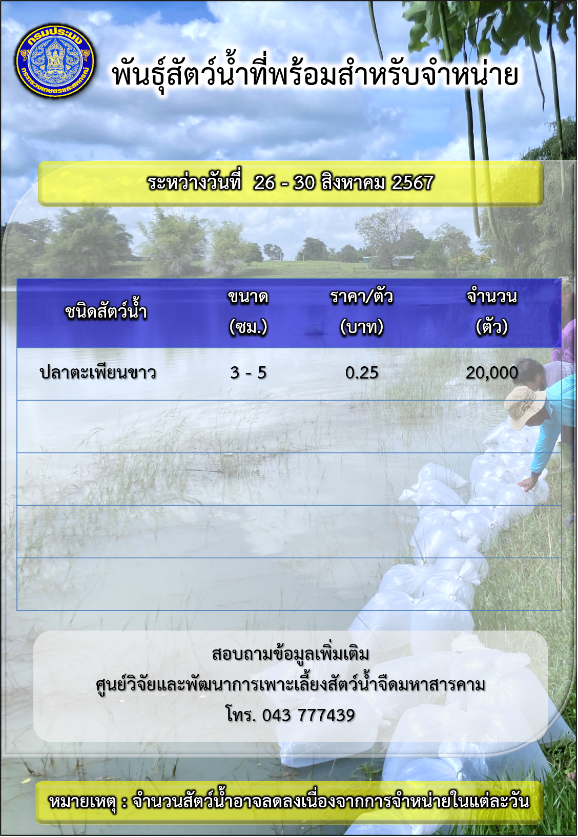 พันธุ์สัตว์น้ำที่พร้อมสำหรับจำหน่าย ระหว่างวันที่ 26 – 30 สิงหาคม 2567..คลิก
