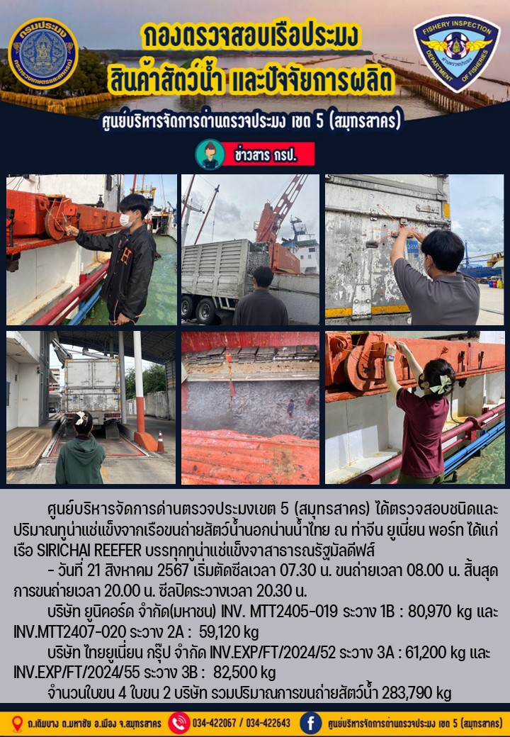 การขนถ่ายทูน่าแช่แข็งจากเรือขนถ่ายสัตว์น้ำสัญชาติไทย เรือ SIRICHAI REEFER บรรทุกทูน่าแช่แข็งจากประเทศมัลดีฟส์ วันที่ 21 สิงหาคม 2567..คลิก