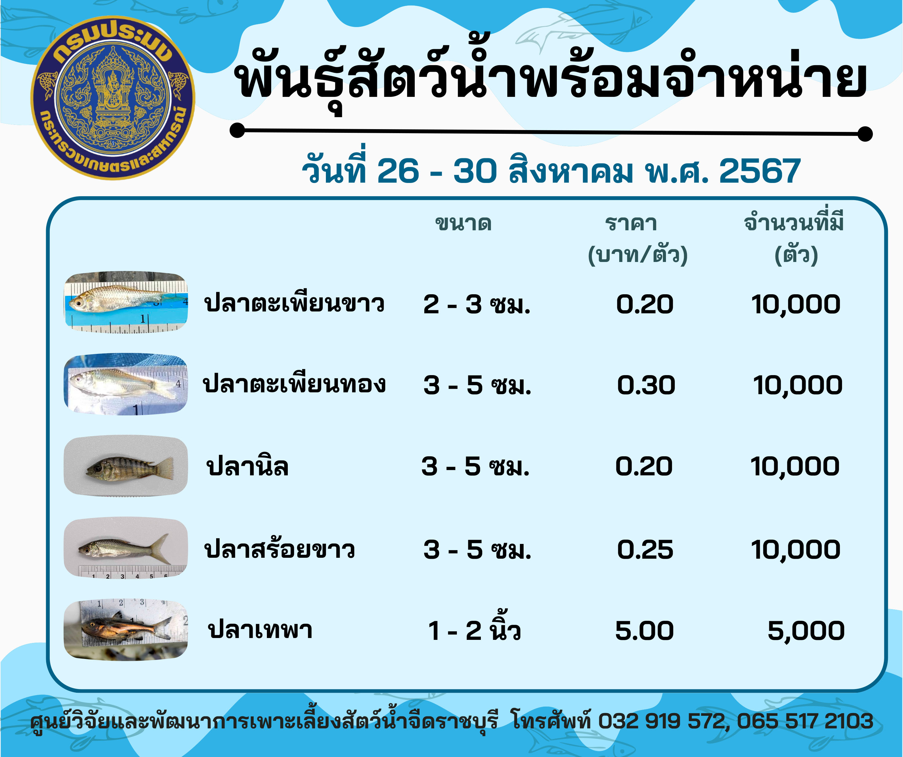 ลูกพันธุ์สัตว์น้ำพร้อมจำหน่ายสัปดาห์นี้ 26 - 30 สิงหาคม พ.ศ. 2567..คลิก