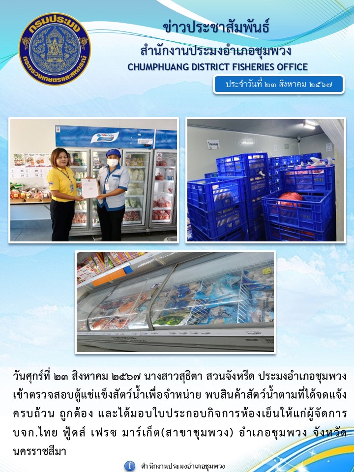 วันที่ 23 สิงหาคม 2567 ประมงอำเภอชุมพวง เข้าตรวจสอบตู้แช่แข็งสัตว์น้ำเพื่อจำหน่ายพบสินค้าสัตว์น้ำตามที่ได้จดแจ้งครบถ้วน ถูกต้อง และได้มอบใบประกอบกิจการห้องเย็นให้แก่ผู้จัดการ บจก.ไทย ฟู้ดส์ เฟรซ มาร์เก็ต (สาขาชุมพวง) อำเภอชุมพวง..คลิก