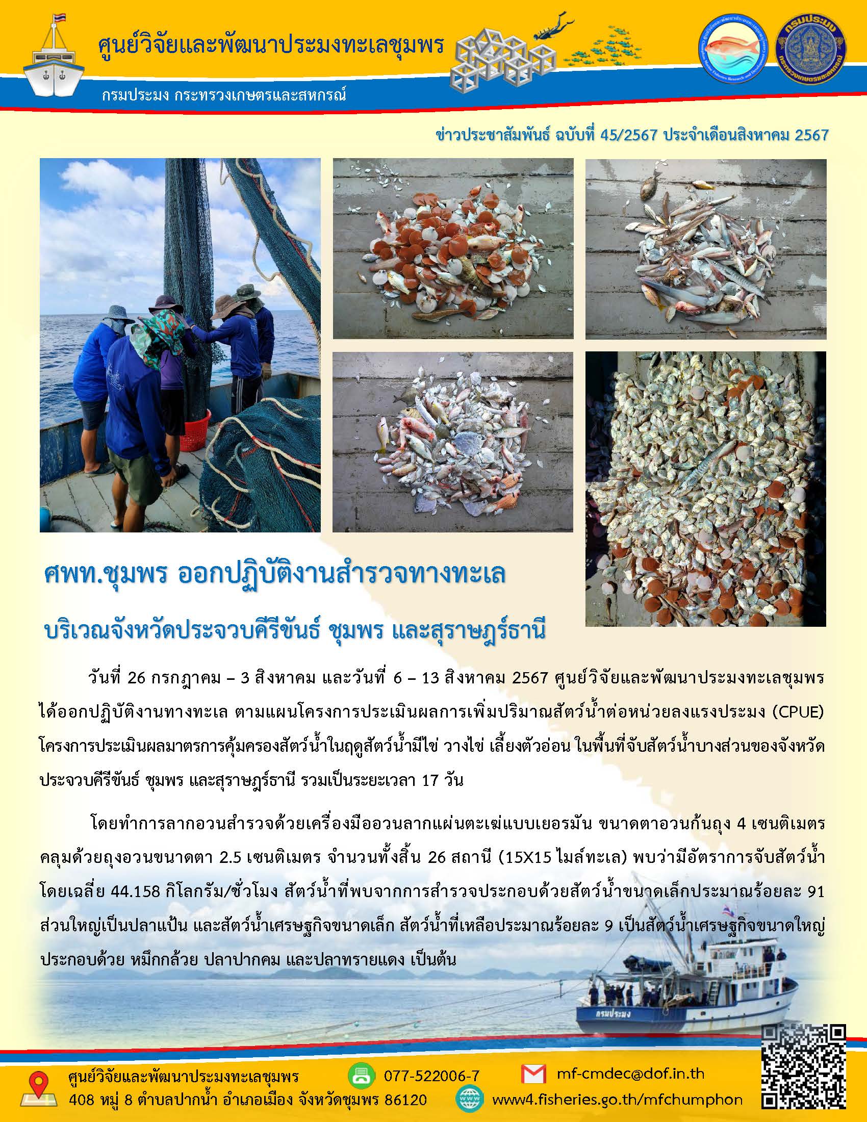 วันที่ 26 กรกฎาคม - 3 สิงหาคม และวันที่ 6-13 สิงหาคม 2567 ศูนย์วิจัยและพัฒนาประมงทะเลชุมพรได้ออกปฏิบัติงานทางทะเล ตามแผนโครงการประเมินผลการเพิ่มปริมาณสัตว์น้ำต่อหน่วยลงแรงประมง (CPUE) โครงการประเมินผลมาตรการคุ้มครองสัตว์น้ำในฤดูสัตว์น้ำมีไข่ วางไข่ เลี้ยงตัวอ่อน ในพื้นที่จับสัตว์น้ำบางส่วนของจังหวัดประจวบคีรีขันธ์ ชุมพร และสุราษฎร์ธานี รวมเป็นระยะเวลา 17 วัน ฯลฯ