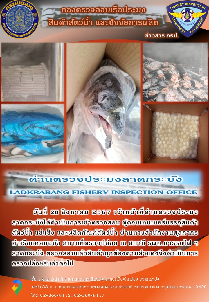 ตรวจสอบสินค้าสัตว์น้ำนำเข้าประจำวันที่ 28 สิงหาคม 2567