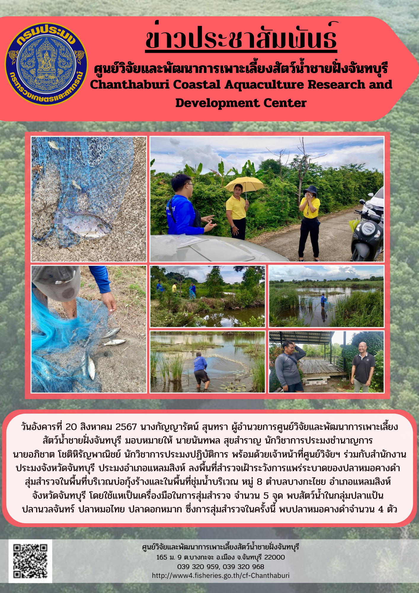 ศูนย์วิจัยและพัฒนาการเพาะเลี้ยงสัตว์น้ำชายฝั่งจันทบุรี ร่วมกับสำนักงานประมงจังหวัดจันทบุรี ประมงอำเภอแหลมสิงห์ ลงพื้นที่สำรวจเฝ้าระวังการแพร่ระบาดของปลาหมอคางดำ..คลิก