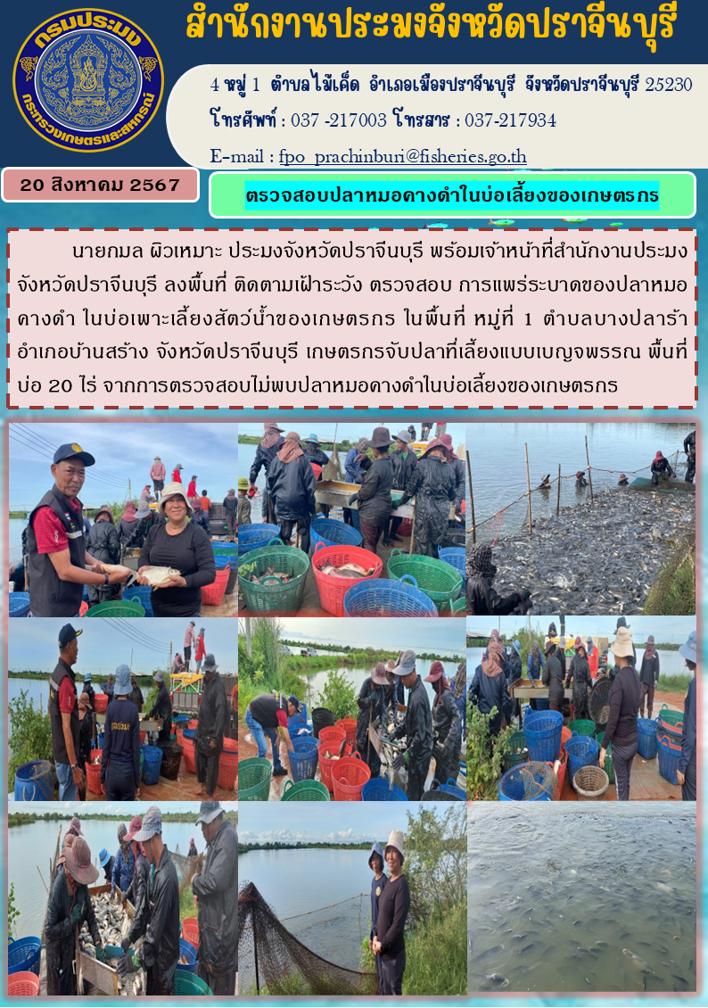 ข่าวประชาสัมพันธ์  ตรวจสอบปลาหมอคางดำในบ่อเลี้ยงของเกษตรกร..คลิก