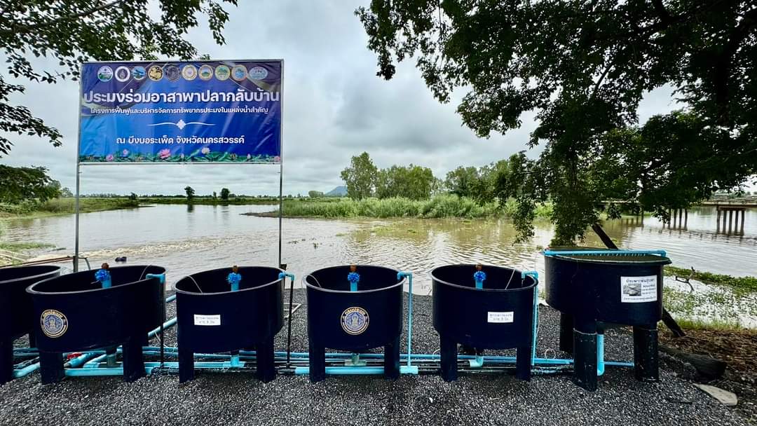 28 ส.ค. 67 กรมประมงผนึกกำลัง 7 ชุมชน Kick Off “ประมงร่วมอาสาพาปลากลับบ้านสู่บึงบอระเพ็ด” ประจำปี 2567 เดินหน้าต่อเนื่อง...เพิ่มปลาไทยสู่บึงบอระเพ็ด จ.นครสวรรค์ กว่าล้านตัว