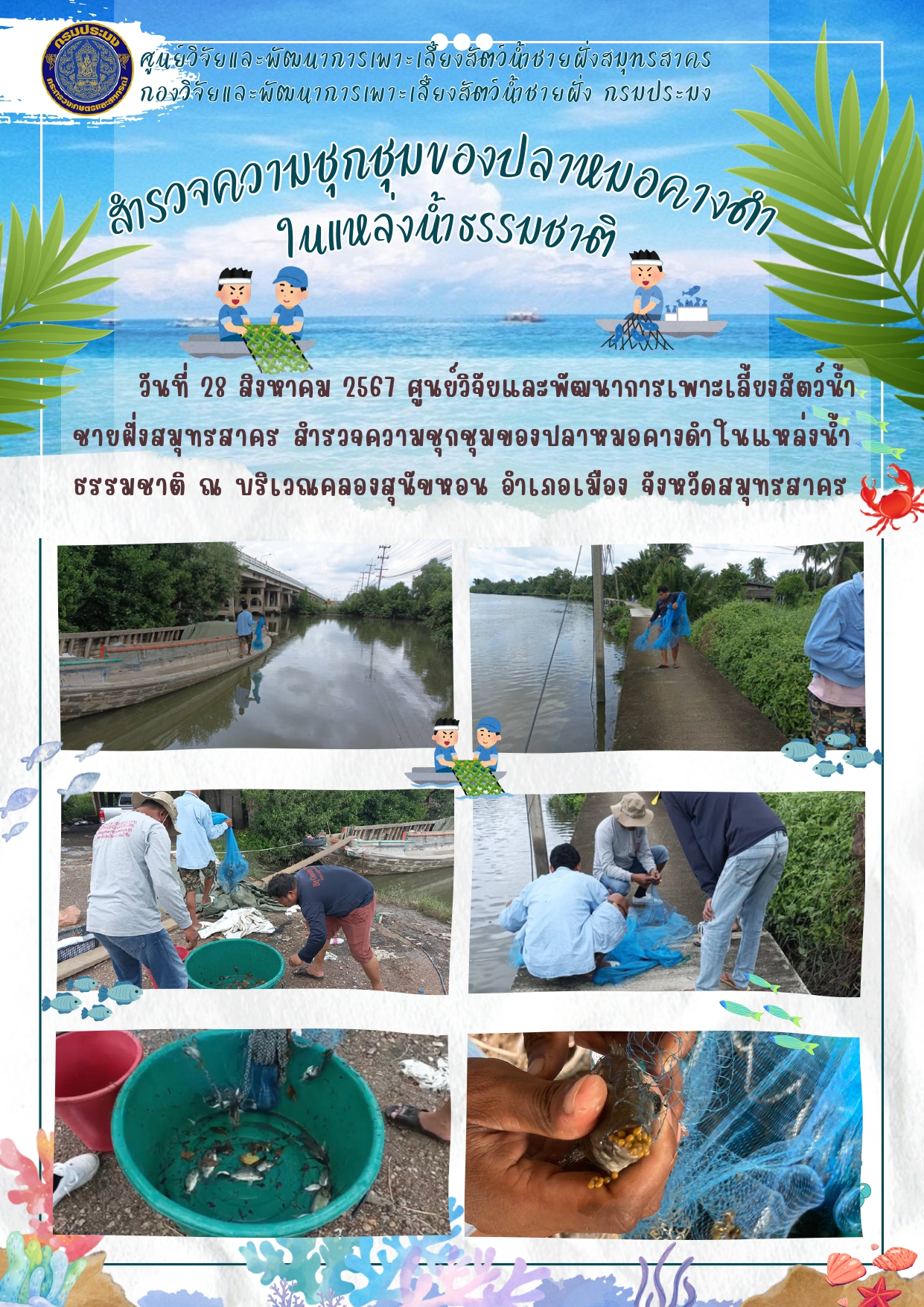 สำรวจความชุกชุมของปลาหมอคางดำในแหล่งน้ำธรรมชาติ..คลิก