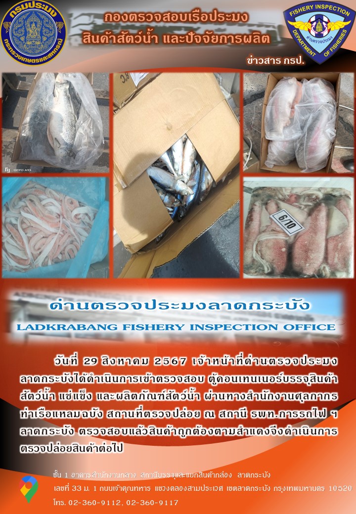 ตรวจสอบสินค้าสัตว์น้ำนำเข้าประจำวันที่ 29 สิงหาคม 2567