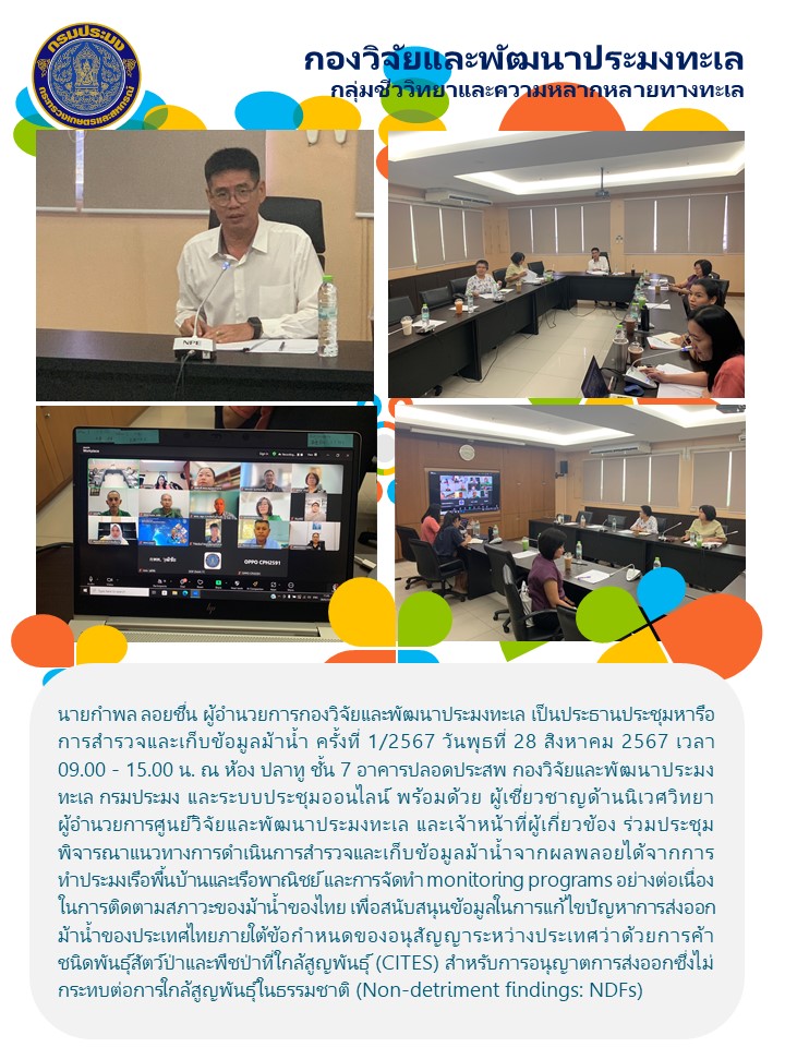 ประชุมหารือการสำรวจและเก็บข้อมูลม้าน้ำ ครั้งที่ 1/2567 