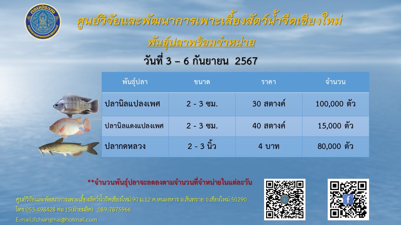 พันธุ์ปลาพร้อมจำหน่าย วันที่ 3-6 กันยายน 2567