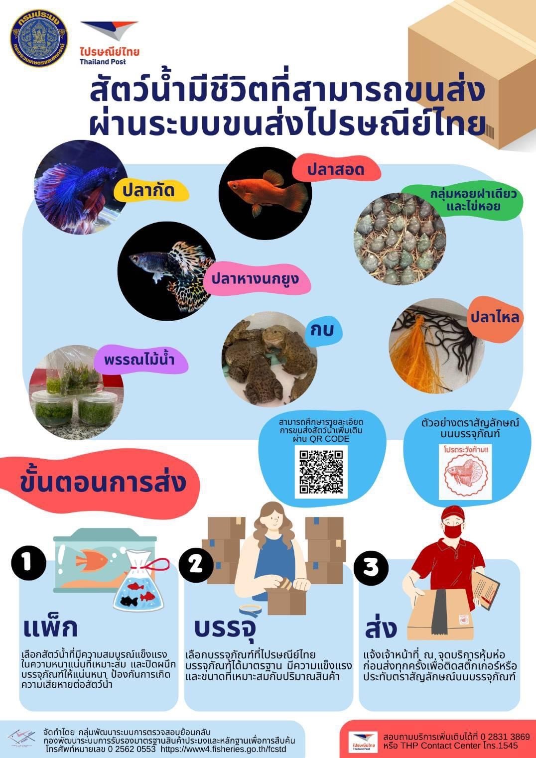 สัตว์น้ำมีชีวิตที่สามารถขนส่งผ่านระบบขนส่งไปรษณีย์ไทย..คลิก