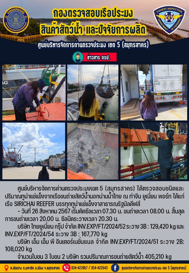 การขนถ่ายทูน่าแช่แข็งจากเรือขนถ่ายสัตว์น้ำสัญชาติไทย เรือ SIRICHAI REEFER บรรทุกทูน่าแช่แข็งจากประเทศมัลดีฟส์ วันที่ 26 สิงหาคม 2567..คลิก