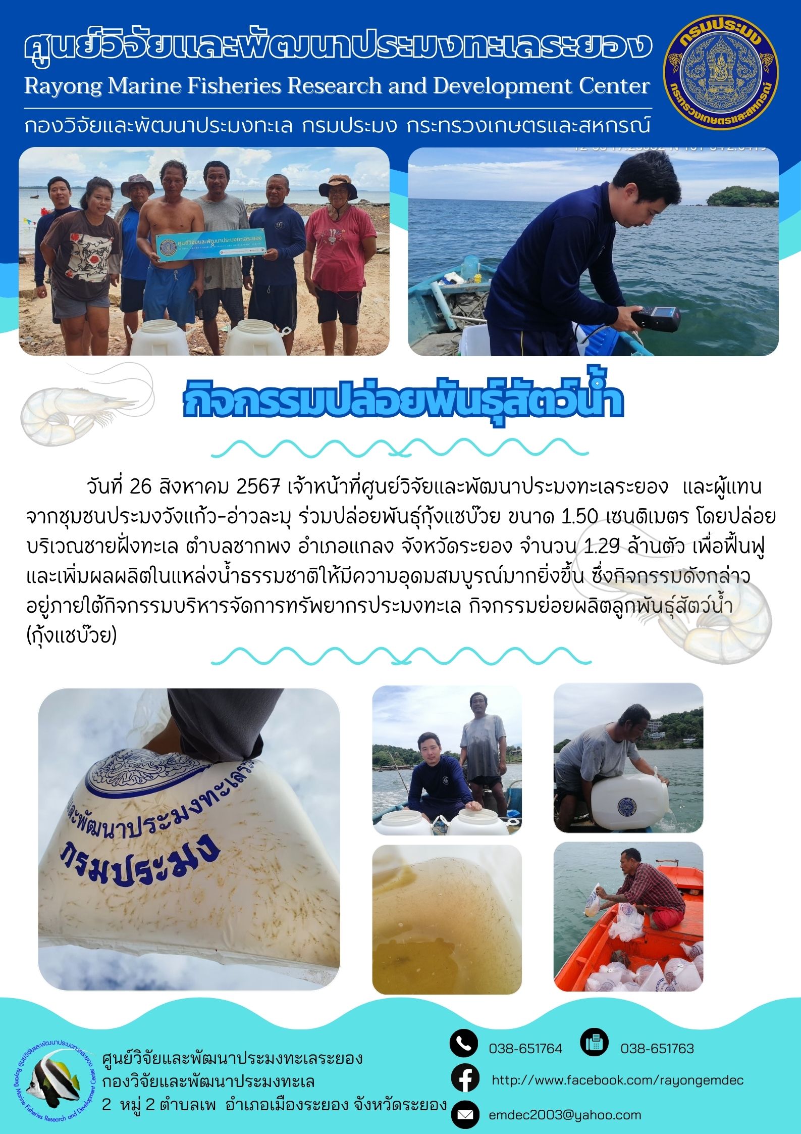 วันที่ 26 สิงหาคม 2567 เจ้าหน้าที่ศูนย์วิจัยและพัฒนาประมงทะเลระยอง และผู้แทนจากชุมชนประมงวังแก้ว-อ่าวละมุ ร่วมปล่อยพันธุ์กุ้งแชบ๊วย ขนาด 150 เซนติเมตร โดยปล่อยบริเวณชายฝั่งทะเล ตำบลชากพง อำเภอแกลง จังหวัดระยอง จำนวน 1.29 ล้านตัว ฯลฯ