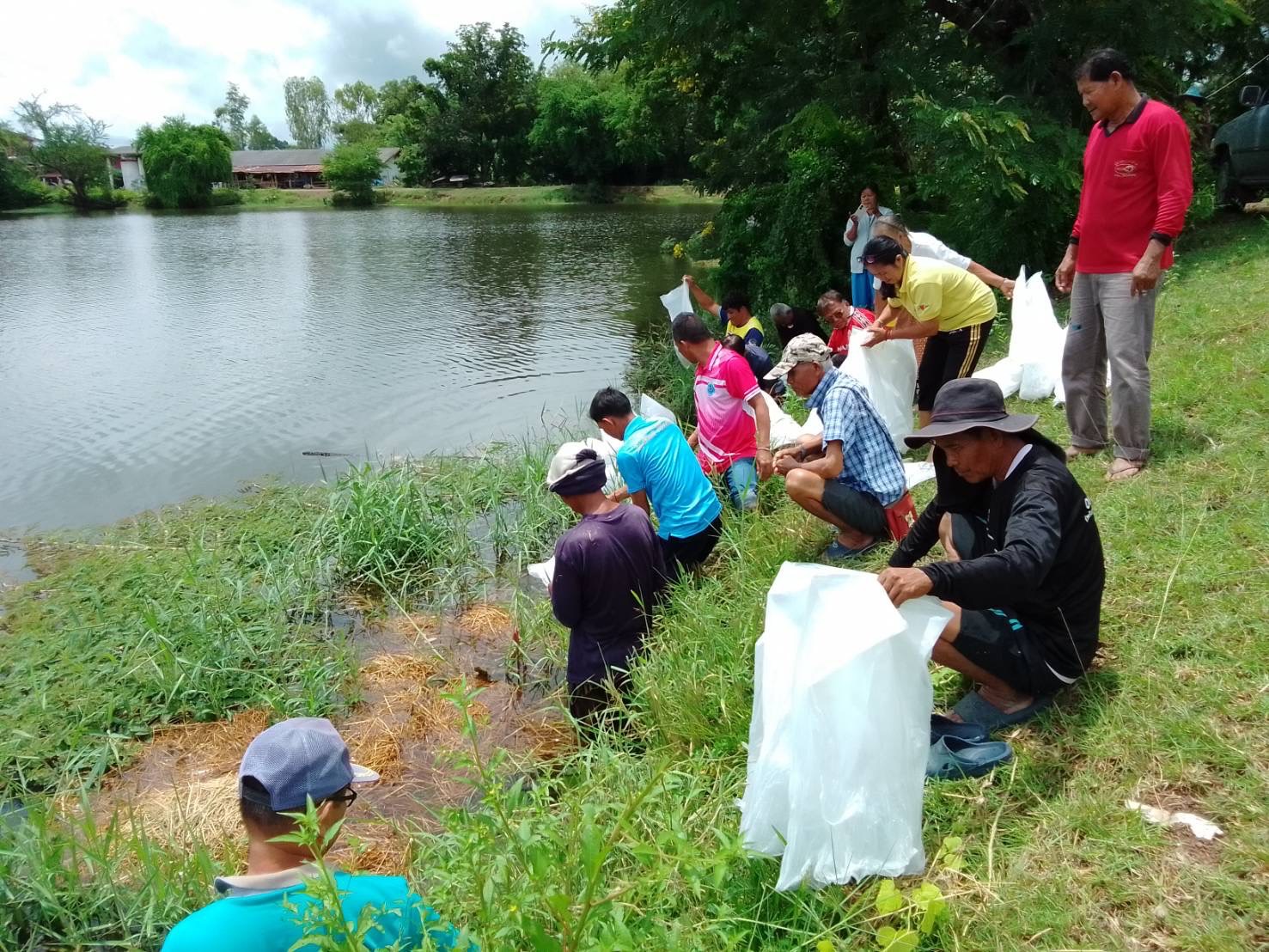 มอบพันธุ์สัตว์น้ำ(ปลากินพืช) จำนวน 500 ถุง (รอบที่ 2) สำหรับ 10 แหล่งน้ำจากทั้งหมด 30 แหล่งน้ำ..คลิก