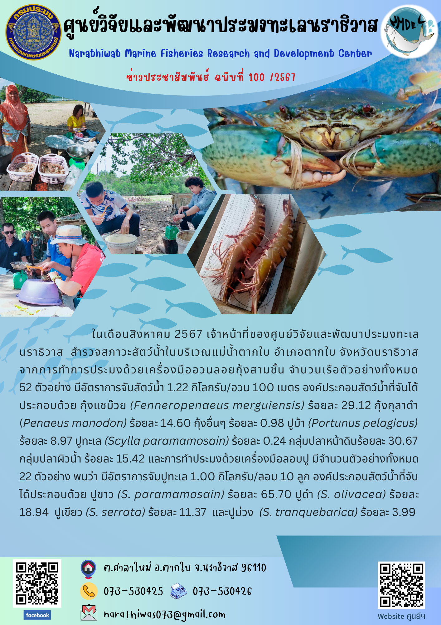 ในเดือนสิงหาคม 2567 เจ้าหน้าที่ของศูนย์วิจัยและพัฒนาประมงทะเล นราธิวาส  สำรวจสภาวะสัตว์น้ำในบริเวณแม่น้ำตากใบ อำเภอตากใบ จังหวัดนราธิวาส..คลิก