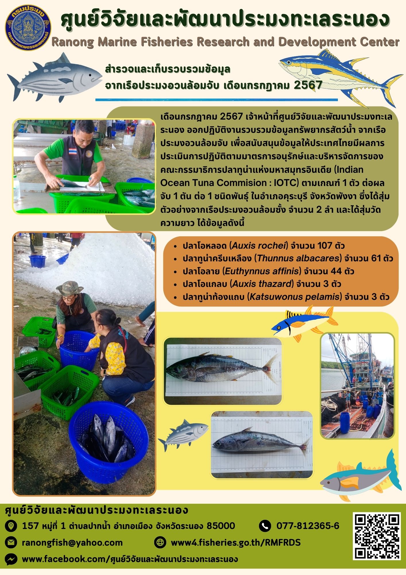 เดือนกรกฎาคม 2567 เจ้าหน้าที่ศูนย์วิจัยและพัฒนาประมงทะเลระนอง ออกปฏิบัติงานรวบรวมข้อมูลทรัพยากรสัตว์น้ำ จากเรือประมงอวนล้อมจับ เพื่อสนับสนุนข้อมูลให้ประเทศไทยมีผลการประเมินการปฏิบัติตามมาตรการอนุรักษ์และบริหารจัดการของคณะกรรมาธิการปลาทูน่าแห่งมหาสมุทรอินเดีย ฯลฯ