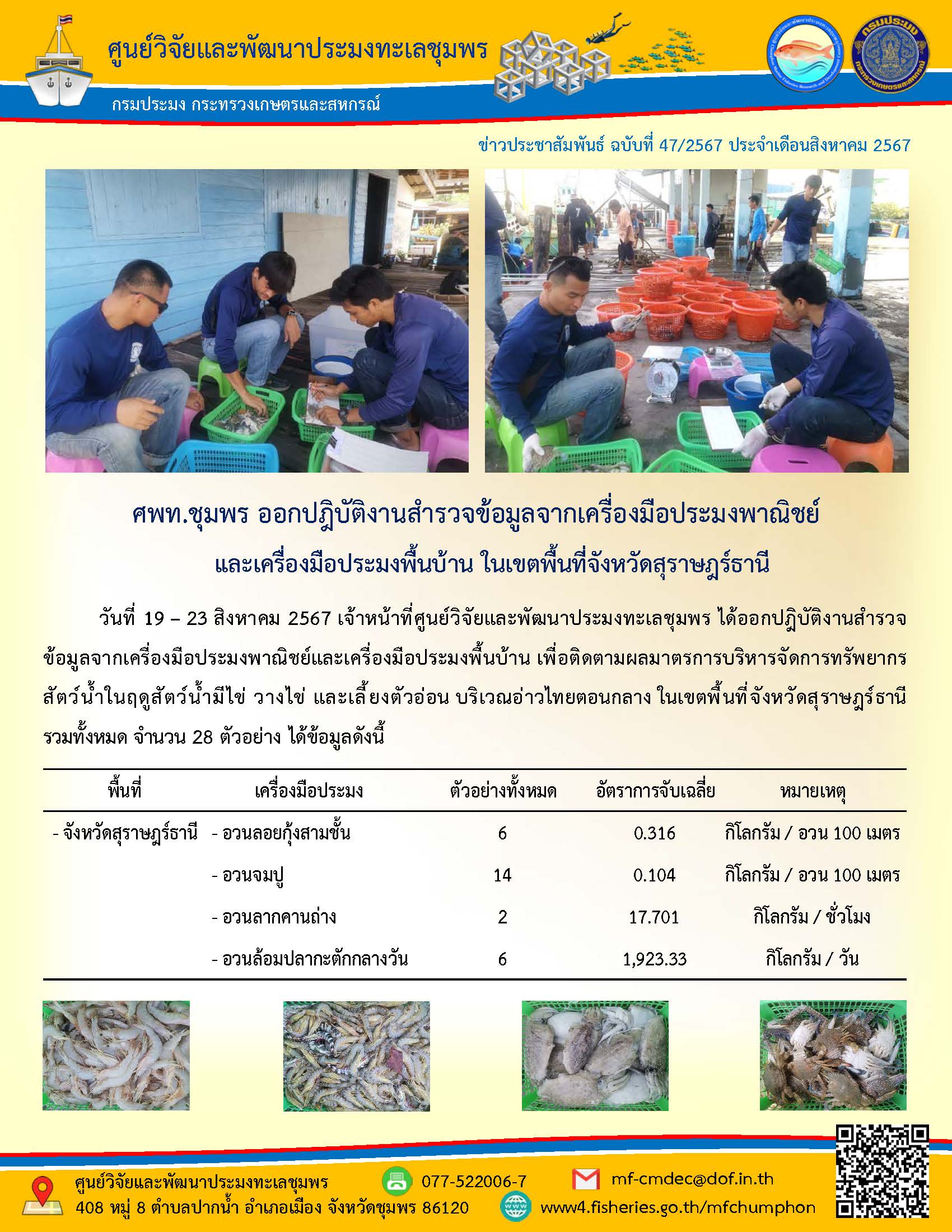 วันที่ 19 - 23 สิงหาคม 2567 เจ้าหน้าที่ศูนย์วิจัยและพัฒนาประมงทะเลชุมพร ได้ออกปฏิบัติงานสำรวจ ข้อมูลจากเครื่องมือประมงพาณิชย์และเครื่องมือประมงพื้นบ้าน เพื่อติดตามผลมาตรการบริหารจัดการทรัพยากร สัตว์น้ำในฤดูสัตว์น้ำมีไข่ วางไข่ และเลี้ยงตัวอ่อน บริเวณอ่าวไทยตอนกลาง ในเขตพื้นที่จังหวัดสุราษฎร์ธานีรวมทั้งหมด จำนวน 28 ตัวอย่าง ได้ข้อมูลดังนี้ ฯลฯ