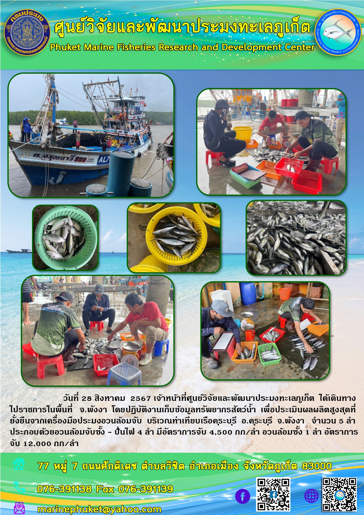วันที่  28 สิงหาคม 2567 เจ้าหน้าที่ศูนย์วิจัยและพัฒนาประมงทะเลภูเก็ต  ได้เดินทางไปราชการในพื้นที่ จ.พังงา โดยปฏิบัติงานเก็บข้อมูลทรัพยากรสัตว์น้ำ เพื่อประเมินผลผลิตสูงสุดที่ยั่งยืนจากเครื่องมือประมงอวนล้อมจับ บริเวณท่าเทียบเรือคุระบุรี อ.คุระบุรี จ.พังงา
