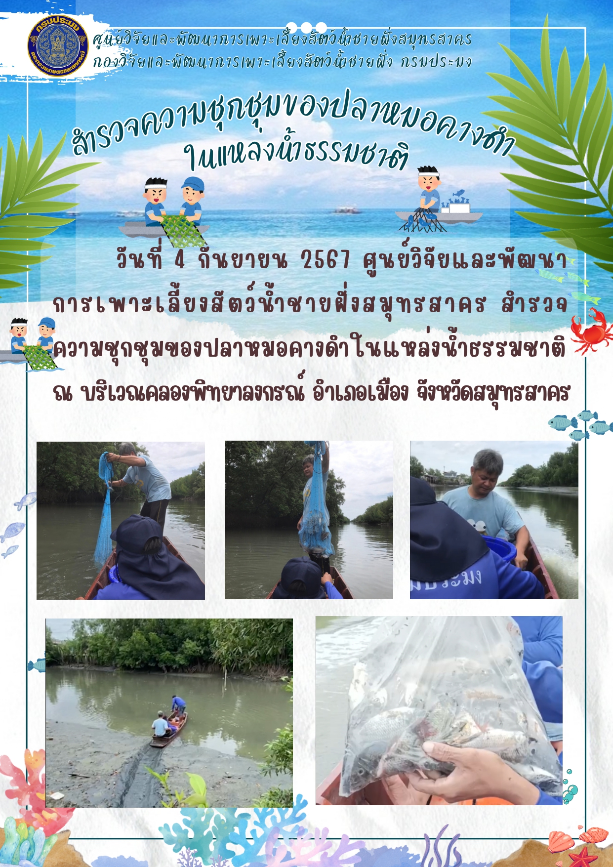 สำรวจความชุกชุมของปลาหมอคางดำในแหล่งน้ำธรรมชาติ..คลิก