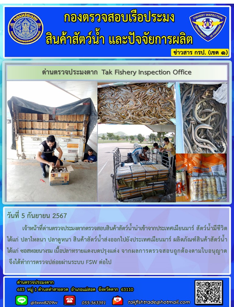 วันที่ 5 กันยายน 2567           เจ้าหน้าที่ด่านตรวจประมงตากตรวจสอบสินค้าสัตว์น้ำนำเข้าจากประเทศเมียนมาร์ สัตว์น้ำมีชีวิต ได้แก่ ปลาไหลนา ปลาตูหนา สินค้าสัตว์น้ำส่งออกไปยังประเทศเมียนมาร์ ผลิตภัณฑ์สินค้าสัตว์น้ำ ได้แก่ ซอสหอยนางรม เนื้อปลาทรายแดงบดปรุงแต่ง จากผลการตรวจสอบถูกต้องตามใบอนุญาต จึงได้ทำการตรวจปล่อยผ่านระบบ FSW ต่อไป..คลิก