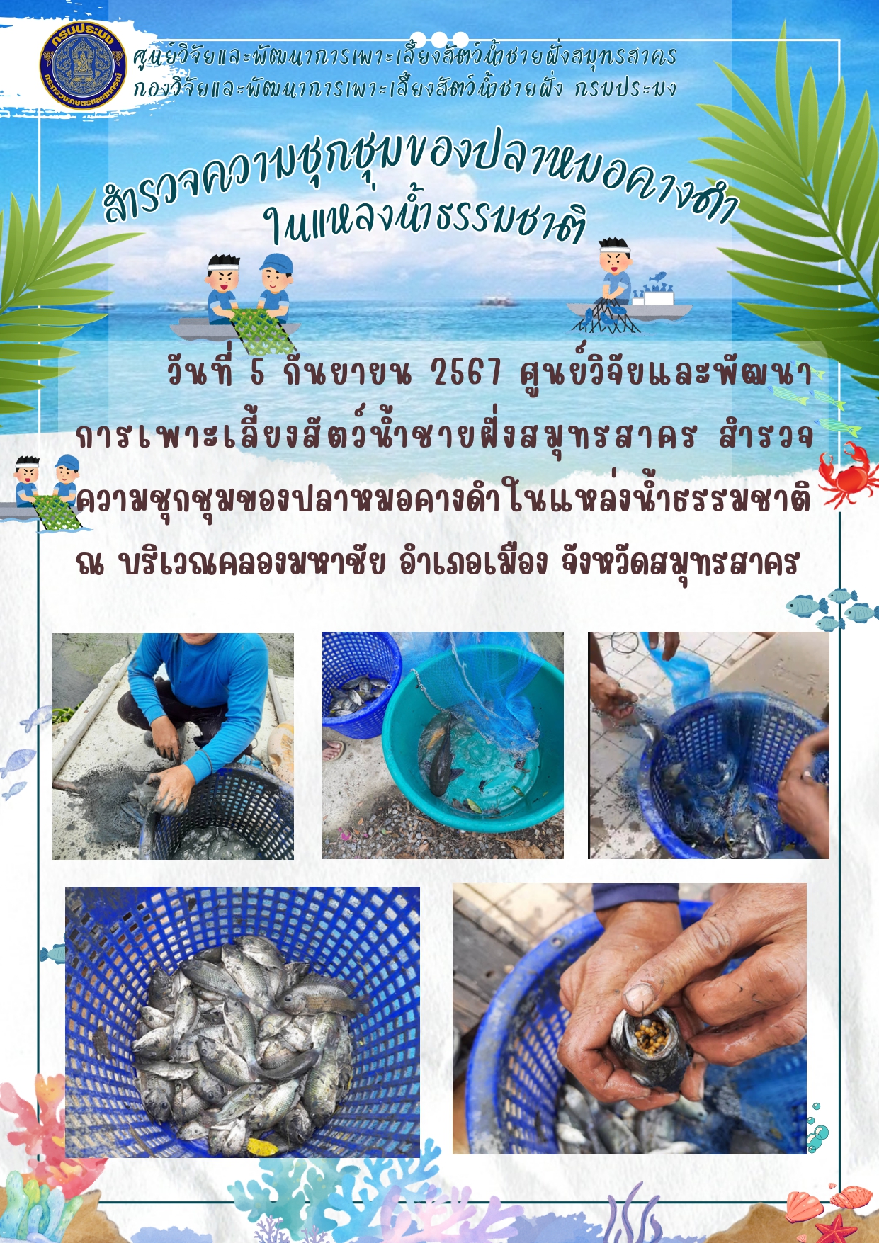 สำรวจความชุกชุมของปลาหมอคางดำในแหล่งน้ำธรรมชาติ..คลิก
