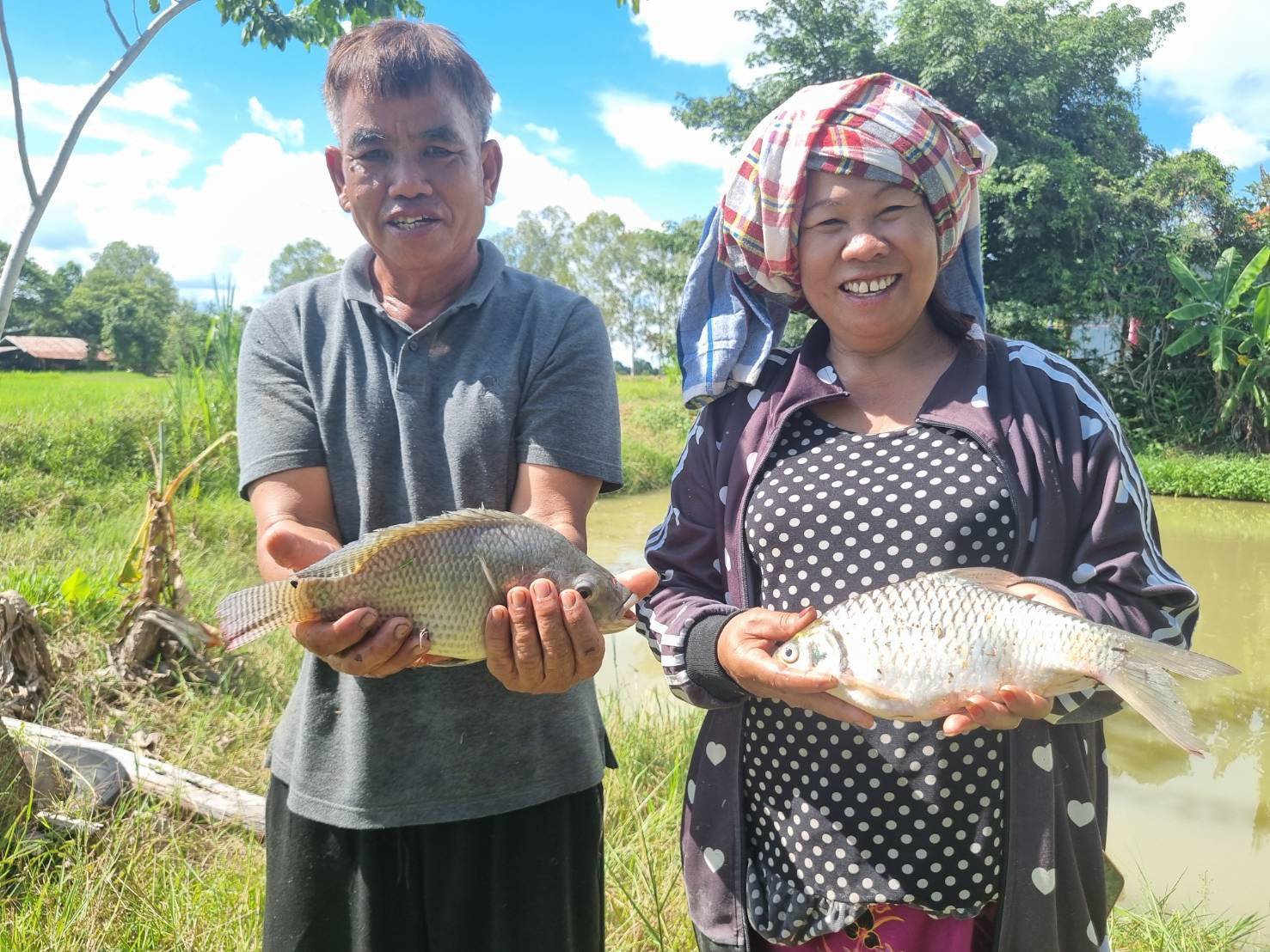 ประมงอำเภอพิบูลมังสาหาร ติดตามงานโครงการศูนย์เรียนรู้การเพิ่มประสิทธิภาพการผลิตสินค้าเกษตร ประจำปีงบประมาณ 2567..คลิก