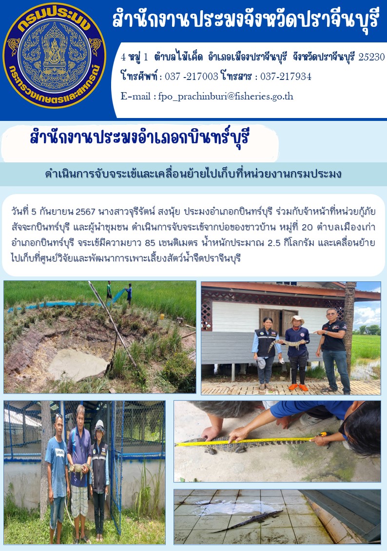 ข่าวประชาสัมพันธ์ สำนักงานประมงอำเภอกบินทร์บุรี ดำเนินการจับจระเข้และเคลื่อนย้ายไปเก็บที่หน่วยงานกรมประมง..คลิก
