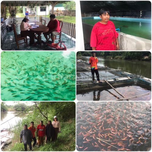 ผลการปฏิบัติงานประจำวันที่ 6-7 กันยายน 2567..คลิก
