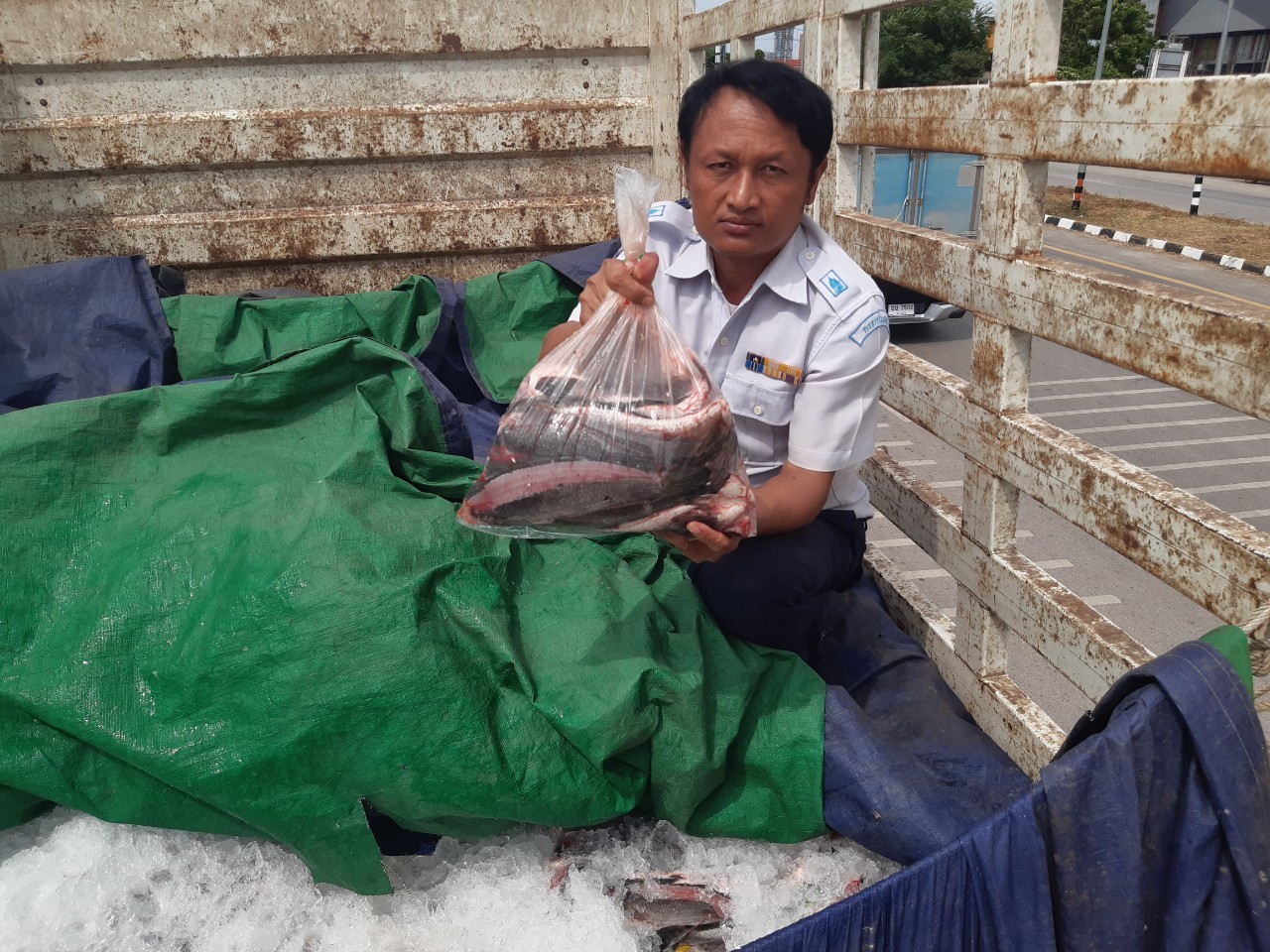 ตรวจสินค้าประมงที่นำเข้า ส่งออก ทางจุดผ่านแดนถาวรบ้านคลองลึก..คลิก