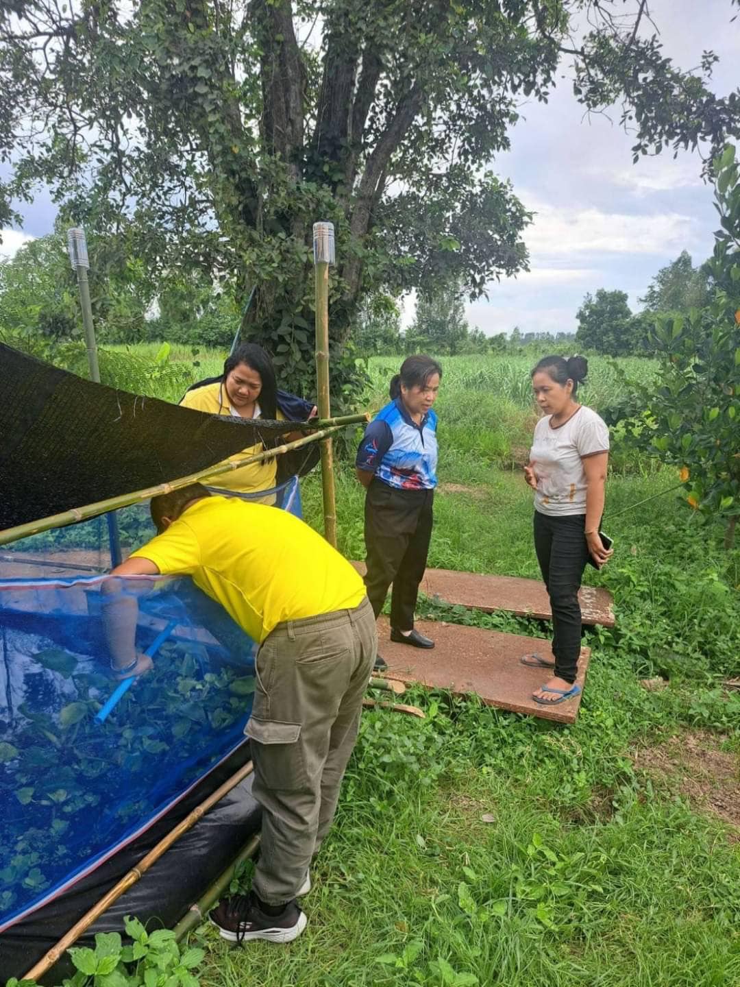 ติดตามผลการเลี้ยงปลาดุกในกระชังบกเกษตรกร อำเภอบรรพตพิสัย จังหวัดนครสวรรค์..คลิก