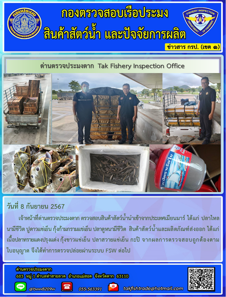 วันที่ 8 กันยายน 2567           เจ้าหน้าที่ด่านตรวจประมงตาก ตรวจสอบสินค้าสัตว์น้ำนำเข้าจากประเทศเมียนมาร์ ได้แก่ ปลาไหลนามีชีวิต ปูดาวแช่เย็น กุ้งก้ามกรามแข่เย็น ปลาตูหนามีชีวิต  สินค้าสัตว์น้ำและผลิตภัณฑ์ส่งออก ได้แก่ เนื้อปลาทรายแดงปรุงแต่ง กุ้งขาวแช่เย็น ปลาสวายแช่เย็น กะปิ จากผลการตรวจสอบถูกต้องตามใบอนุญาต จึงได้ทำการตรวจปล่อยผ่านระบบ FSW ต่อไป..คลิก