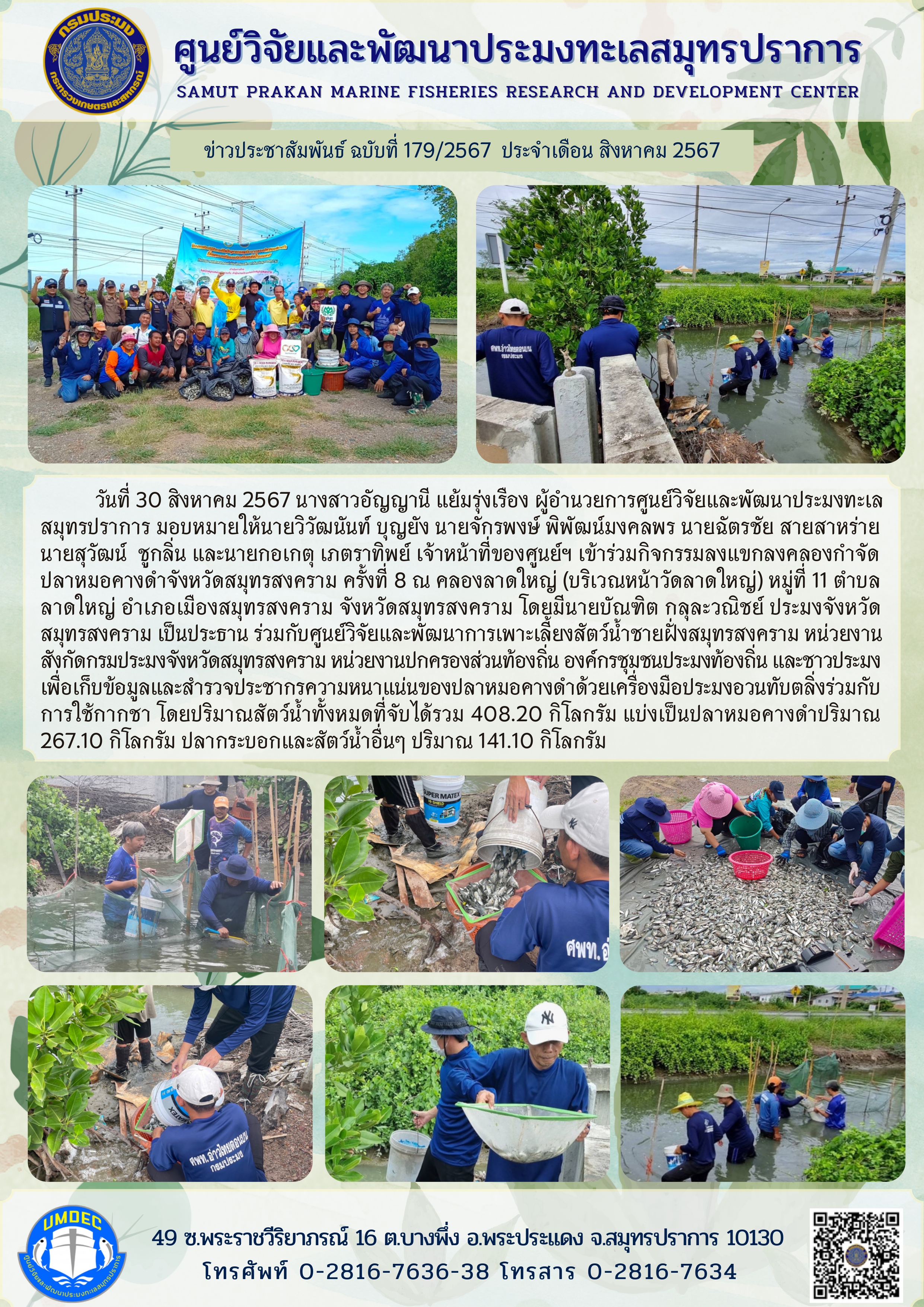 วันที่ 30 สิงหาคม 2567 นางสาวอัญญานี แย้มรุ่งเรือง ผู้อำนวยการศูนย์วิจัยและพัฒนาประมงทะเลสมุทรปราการ มอบหมายให้นายวิวัฒนันท์ บุญยัง นายจักรพงษ์ พิพัฒน์มงคลพร นายฉัตรชัย สายสาหร่าย นายสุวัฒน์ ชูกลิ่น และนายกอเกตุ เภตราทิพย์ เจ้าหน้าที่ของศูนย์ฯ เข้าร่วมกิจกรรมลงแขกลงคลองกำจัดปลาหมอคางดำจังหวัดสมุทรสงคราม ครั้งที่ 8 ฯลฯ