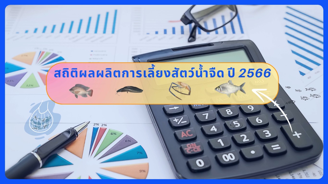 Video  สถิติผลผลิตการเลี้ยงสัตว์น้ำจืด ปี 2566