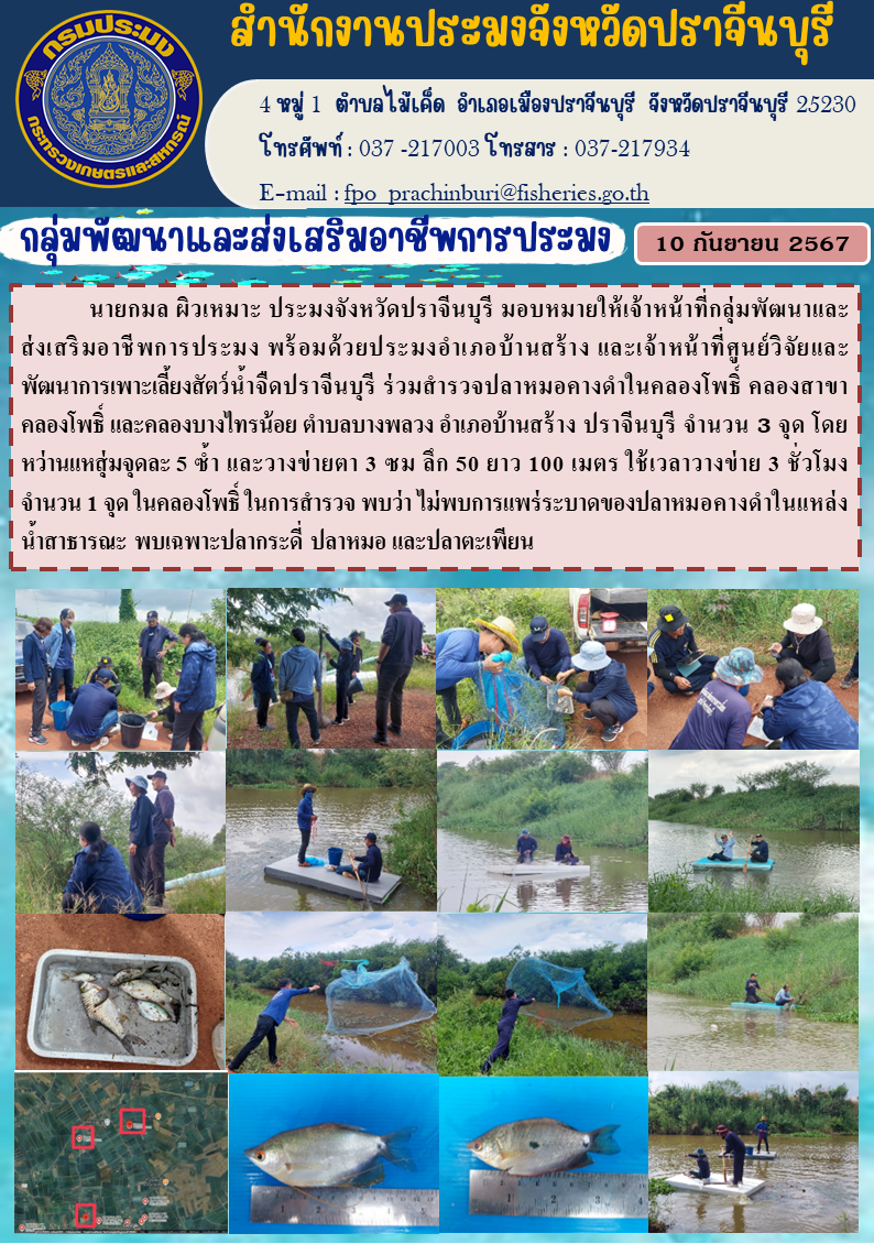 ข่าวประชาสัมพันธ์ กลุ่มพัฒนาและส่งเสริมอาชีพการประมง ร่วมสำรวจปลาหมอคางดำในคลองโพธิ์ คลองสาขา คลองโพธิ์ และคลองบางไทรน้อย ตำบลบางพลวง อำเภอบ้านสร้าง ปราจีนบุรี จำนวน 3 จุด..คลิก