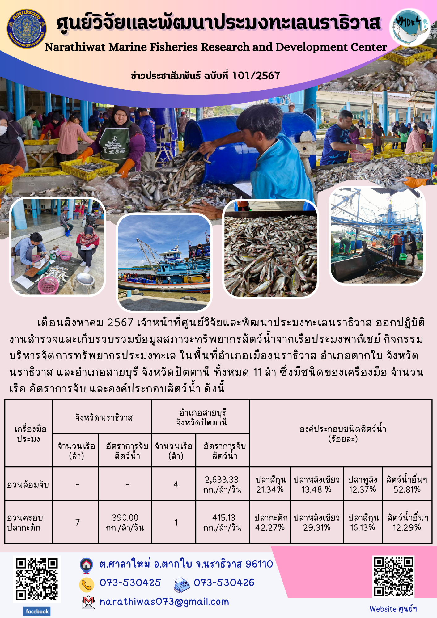 เดือนสิงหาคม 2567 เจ้าหน้าที่ศูนย์วิจัยและพัฒนาประมงทะเลนราธิวาส ออกปฏิบัติงานสำรวจและเก็บรวบรวมข้อมูลสภาวะทรัพยากรสัตว์น้ำจากเรือประมงพาณิชย์..คลิก