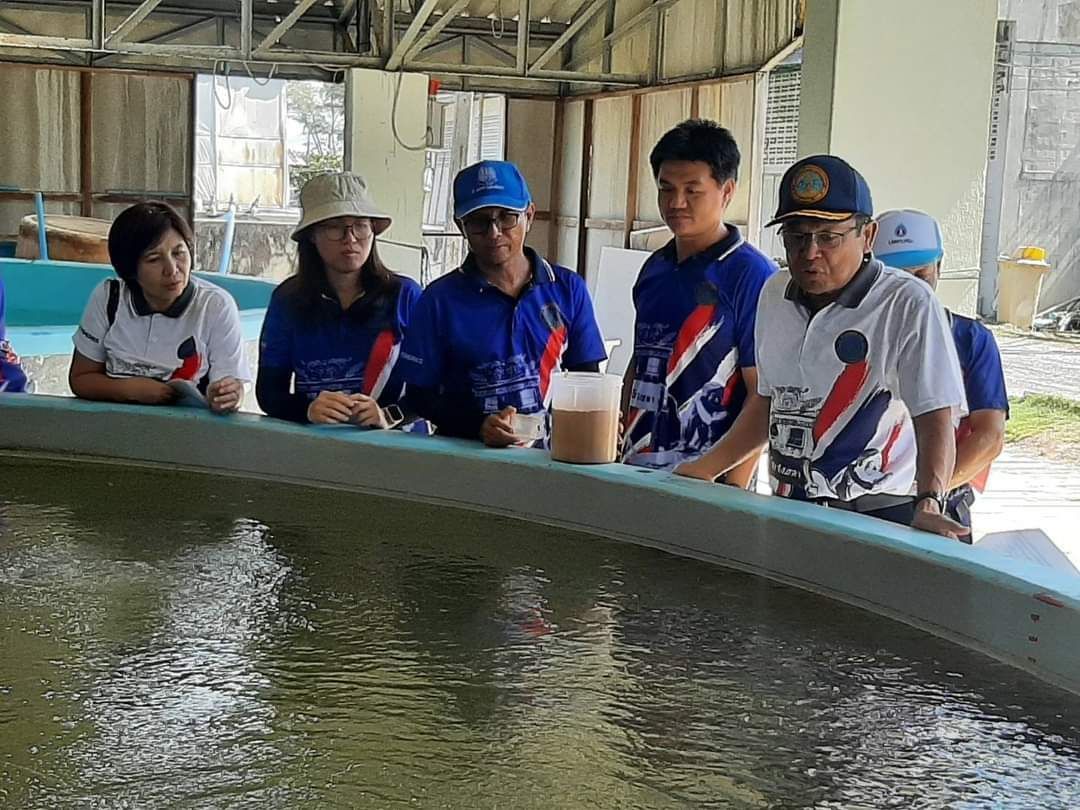 “ปลากระบอกดำ” สัตว์น้ำเศรษฐกิจ ทางเลือกใหม่ ราคาดี คืนทุนเร็ว  ตอบโจทย์นโยบาย รัฐมนตรีเกษตรฯ “การผลักดันสินค้าเกษตรมูลค่าสูง”
