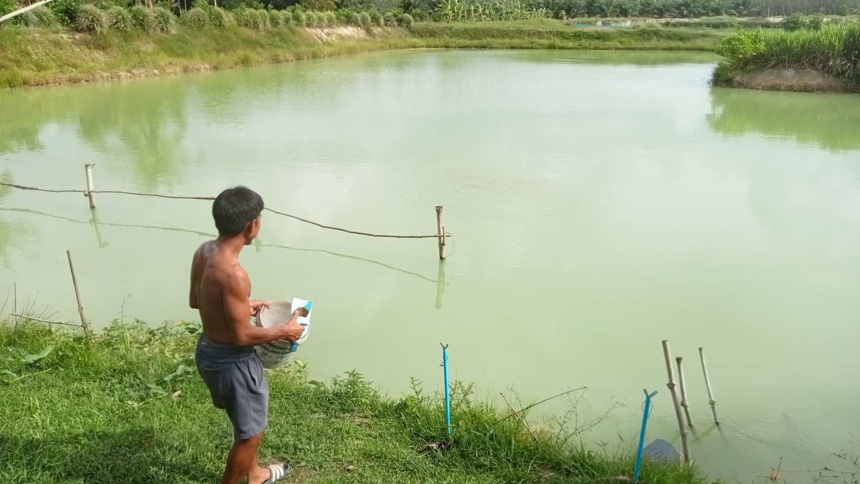ประมงอำเภอเขาชัยสน รับขึ้นทะเบียนฯ และให้คำแนะนำการเพาะเลี้ยงสัตว์น้ำแก่เกษตรกร หมู่ที่ 5 ตำบลหานโพธิ์  อำเภอเขาชัยสน..คลิก
