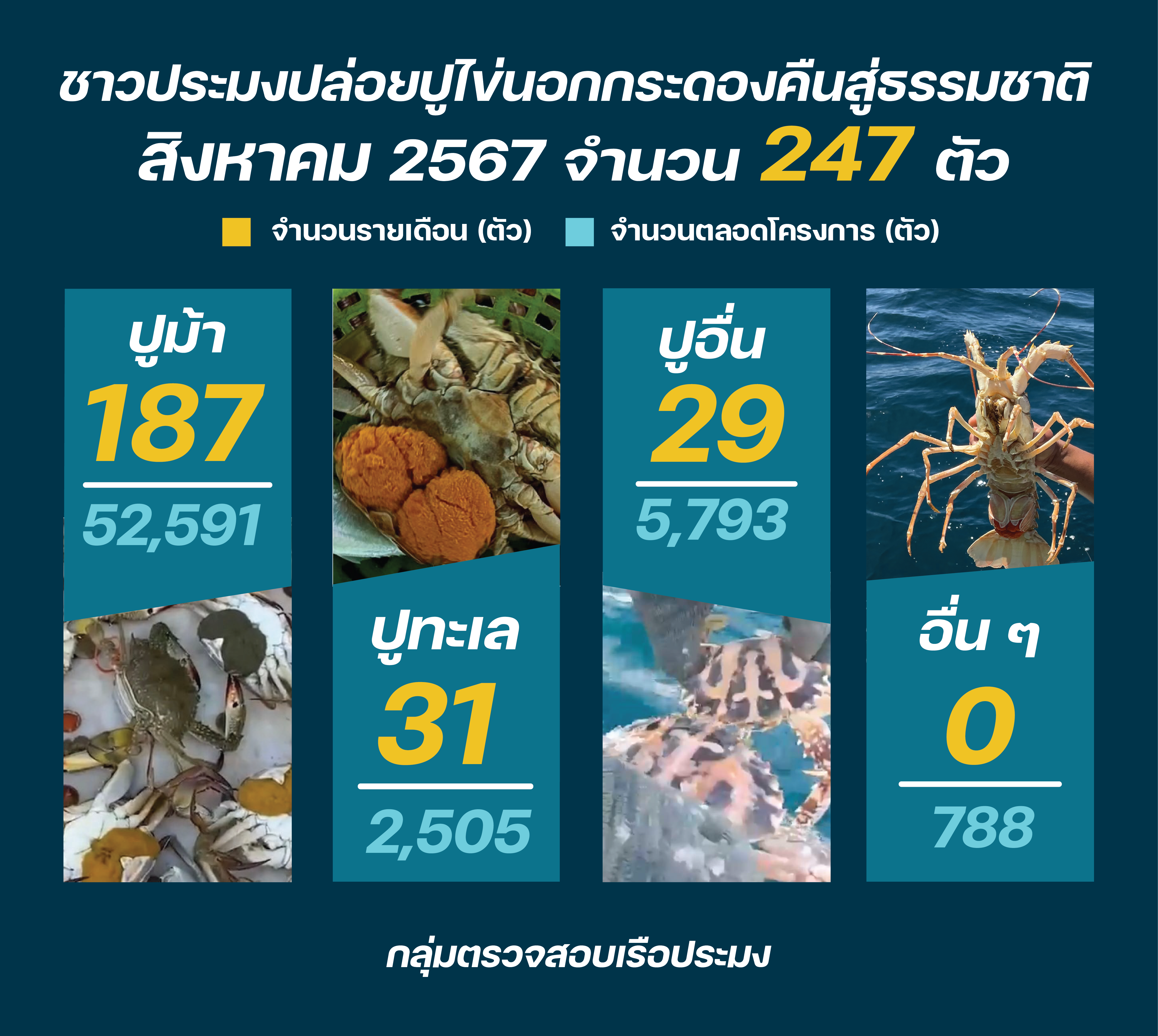 ชาวประมงปล่อยปูไข่ สิงหาคม 2567..คลิก