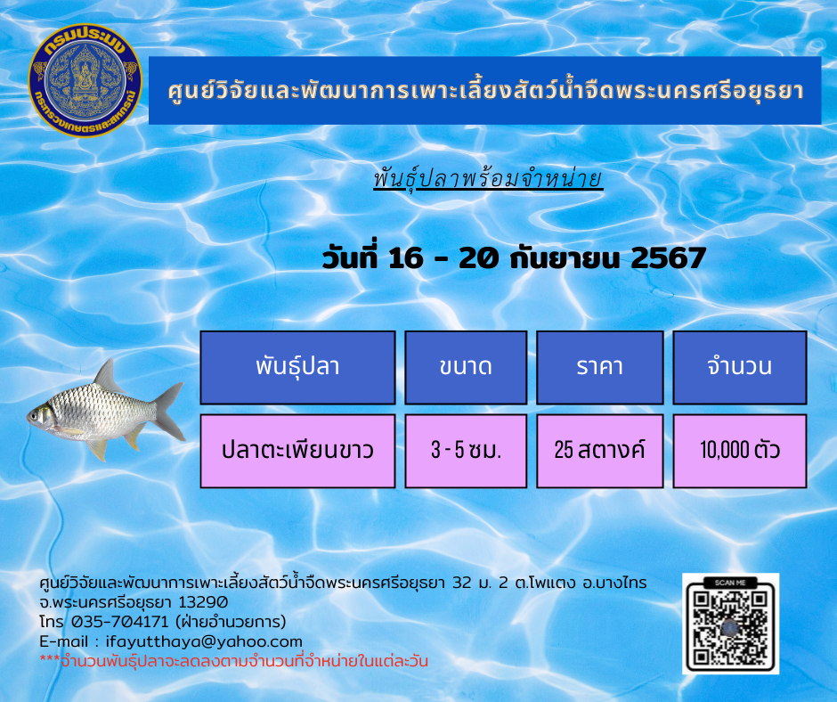 ชนิดพันธ์ุสัตว์น้ำพร้อมจำหน่าย  16-20 กันยายน 2567 ศพจ.พระนครศรีอยุธยา..คลิก