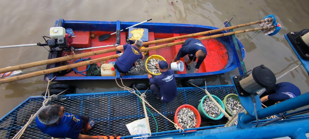 ตามโครงการป้องกันการแพร่ระบาดของปลาหมอคางดำในพื้นที่ 16 จังหวัด บริเวณ แม่น้ำเจ้าพระยา ต.บางพึ่ง อ.พระประแดง จ.สมุทรปราการ..คลิก