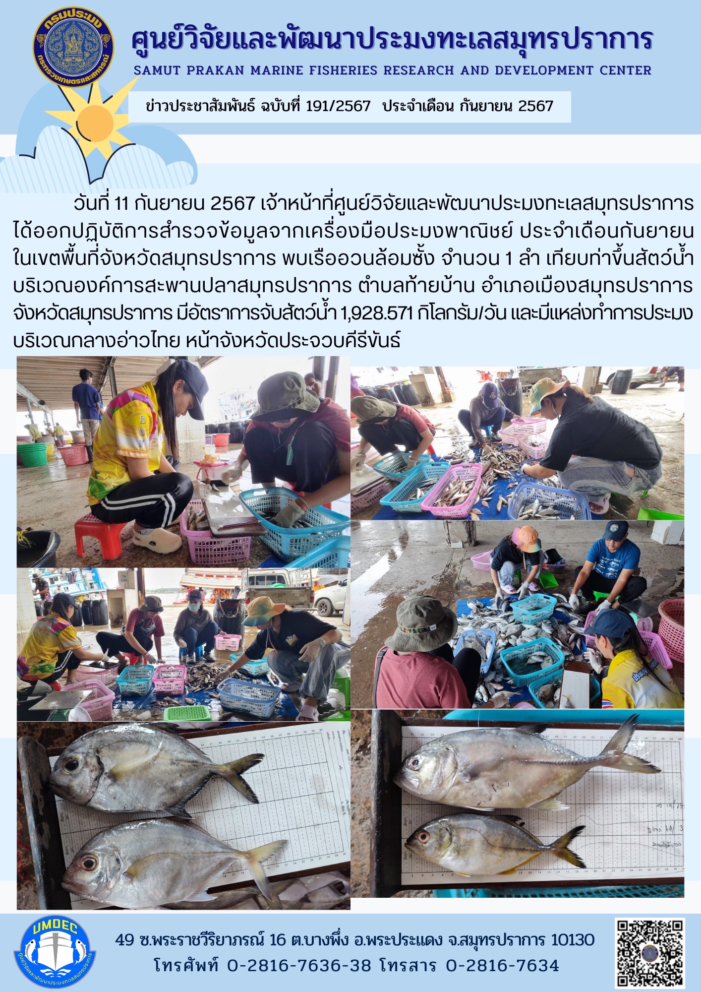 เจ้าหน้าที่ศูนย์วิจัยและพัฒนาประมงทะเลสมุทรปราการ ได้ออกปฏิบัติการสำรวจข้อมูลจากเครื่องมือประมงพาณิชย์ ประจำเดือนกันยายน ในเขตพื้นที่จังหวัดสมุทรปราการ..คลิก