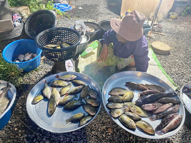 ดำเนินการสำรวจตัวอย่างปลาน้ำจืดมีไข่ ในพื้นที่ทะเลน้อยจังหวัดพัทลุง