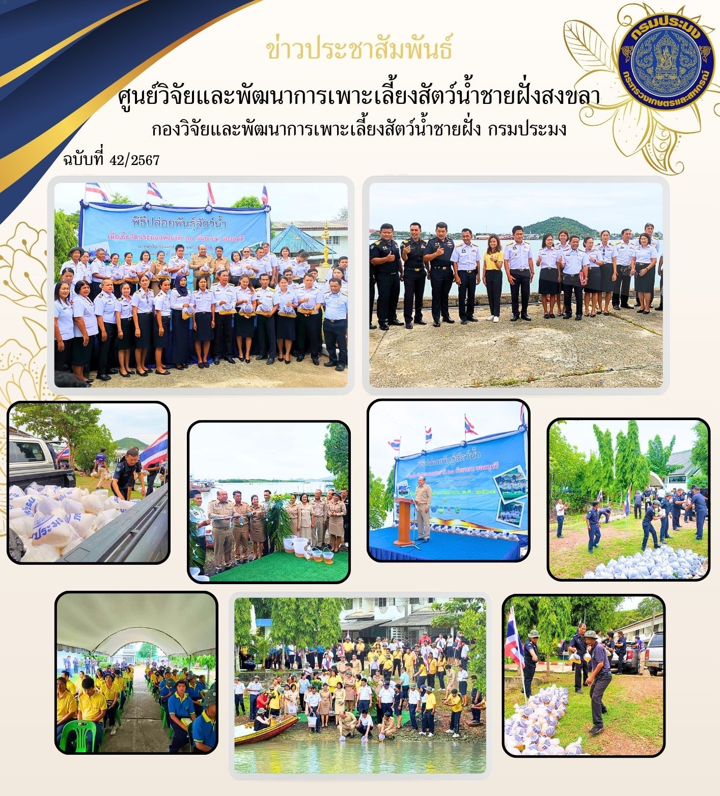 วันที่ 17 กันยายน 2567 นางสาวปริศนา คลิ้งสุขคล้าย ผู้อำนวยการศูนย์วิจัยและพัฒนาการเพาะเลี้ยงสัตว์น้ำชายฝั่งสงขลา พร้อมด้วยนายนพพล พันธเมธี นักวิชาการประมงปฏิบัติการ และเจ้าหน้าที่ศูนย์ มอบพันธุ์กุ้งกุลาดำให้แก่สำนักงานประมงจังหวัดสงขลา และร่วมปล่อยพันธุ์สัตว์น้ำ เนื่องในวันประมงแห่งชาติ 2567..คลิก