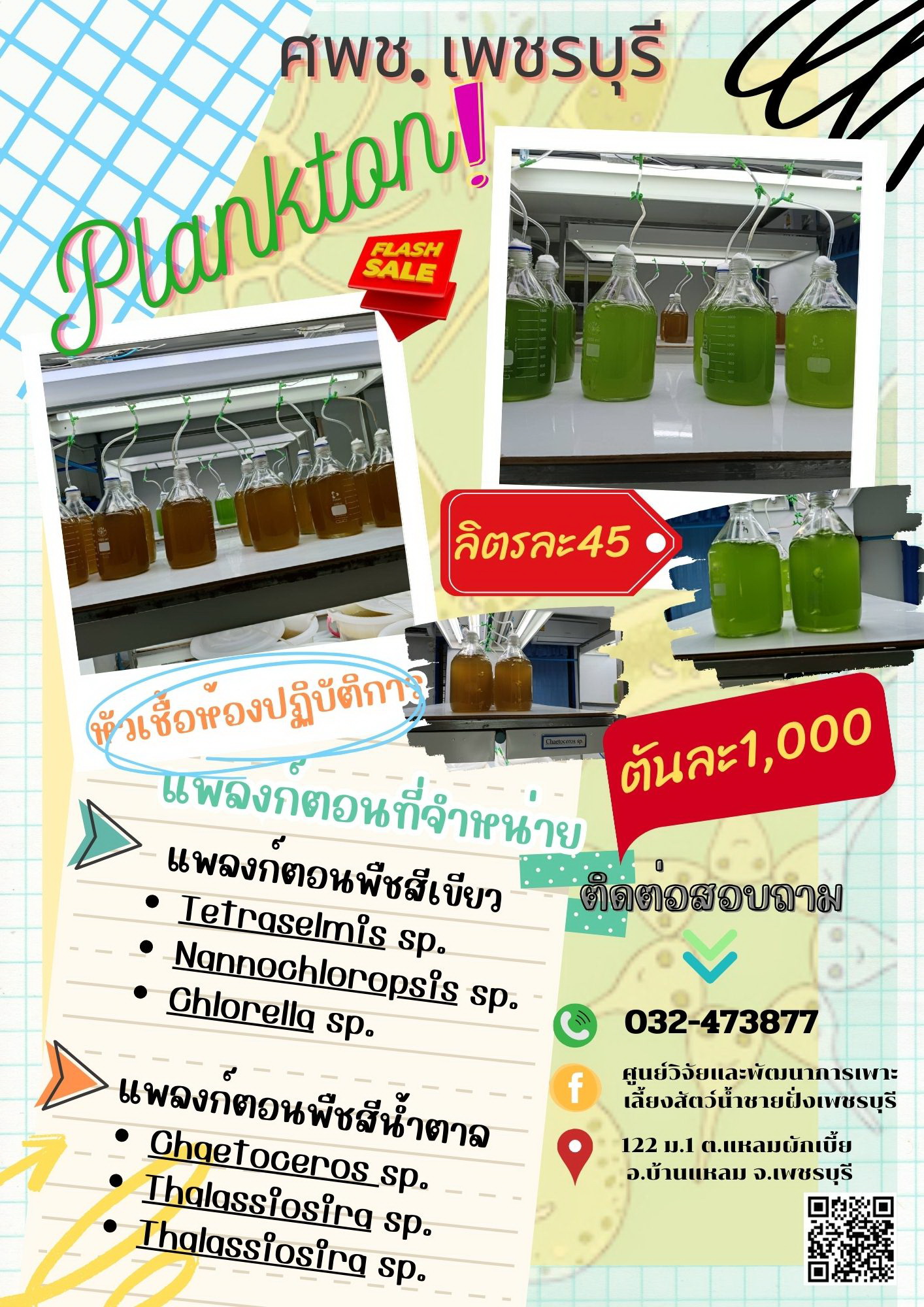 หัวเชื้อแพลงก์ตอนพืช..คลิก