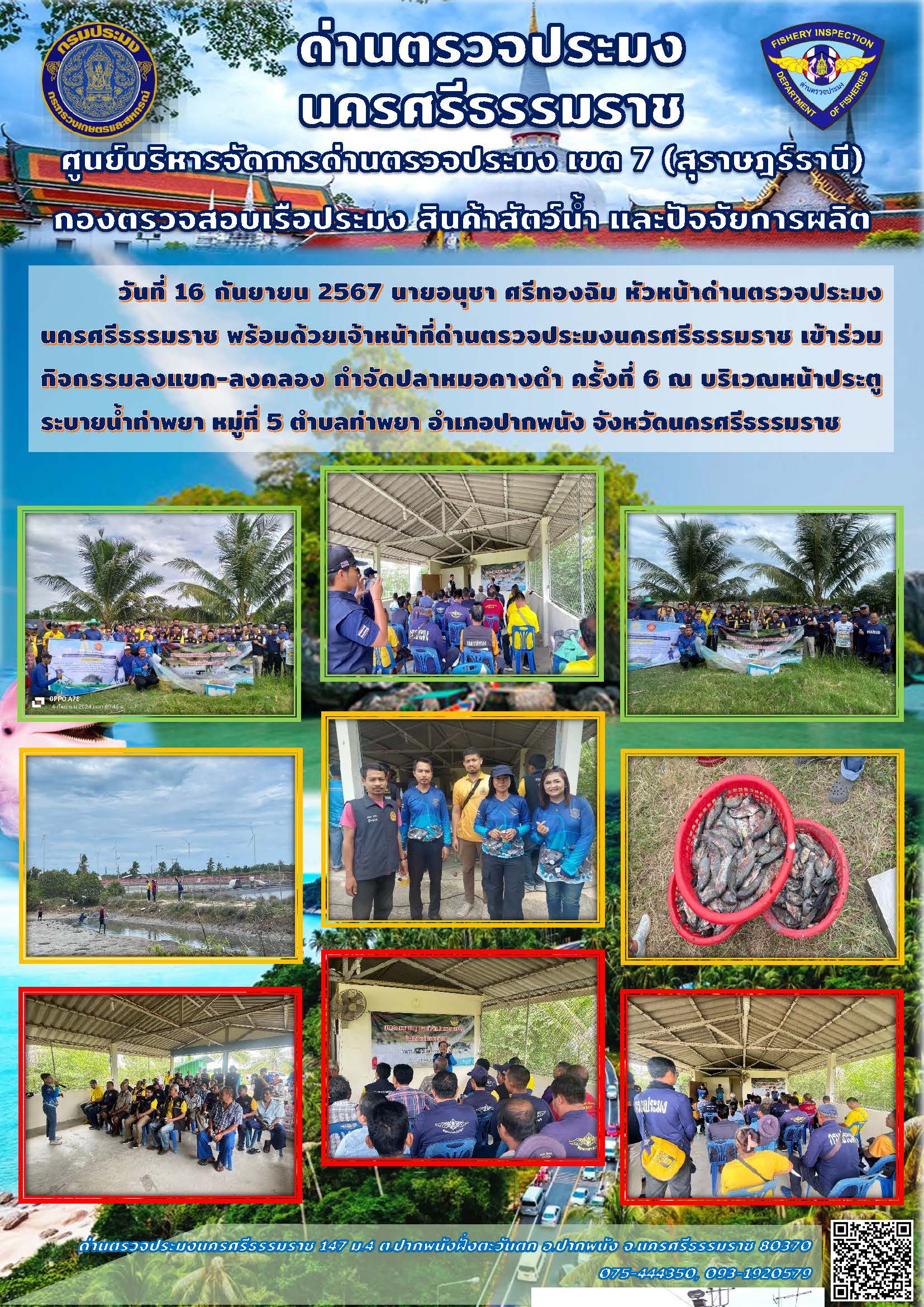 วันที่ 16 กันยายน 2567 นายอนุชา ศรีทองฉิม หัวหน้าด่านตรวจประมงนครศรีธรรมราช พร้อมด้วยเจ้าหน้าที่ด่านตรวจประมงนครศรีธรรมราช เข้าร่วมกิจกรรมลงแขก-ลงคลอง กำจัดปลาหมอคางดำ ครั้งที่ 6..คลิก